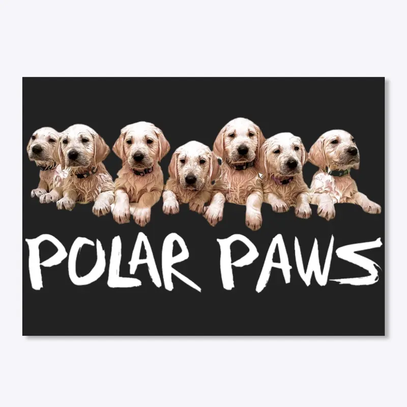 Polar Paws Puppies 